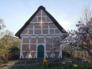 von vorne