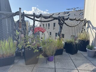 Der Balkon