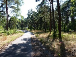 Villengrundstück am Waldrand