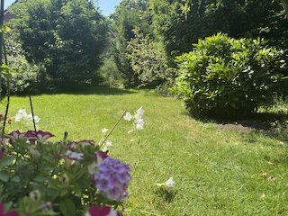 Ausschnitt Garten